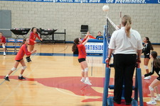 Enlarge photo 459