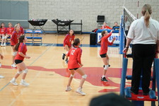 Enlarge photo 461