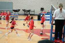 Enlarge photo 463