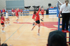 Enlarge photo 467
