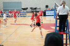 Enlarge photo 466