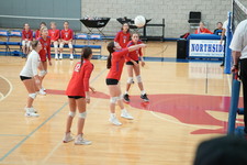 Enlarge photo 471