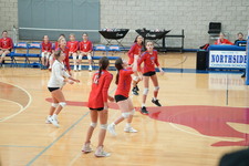 Enlarge photo 473