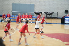 Enlarge photo 474