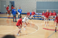 Enlarge photo 486