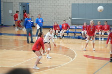 Enlarge photo 487