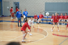 Enlarge photo 488