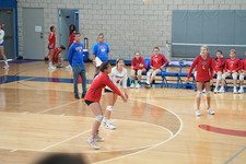Enlarge photo 491