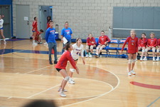 Enlarge photo 492