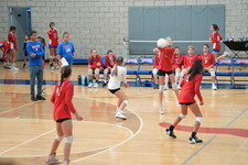 Enlarge photo 506
