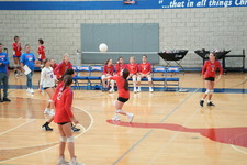 Enlarge photo 509