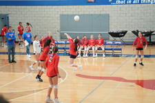 Enlarge photo 511