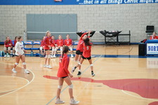 Enlarge photo 515