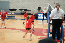 Enlarge photo 522