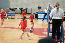 Enlarge photo 523