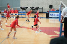 Enlarge photo 524
