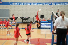 Enlarge photo 533