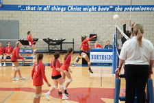 Enlarge photo 534