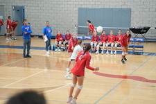 Enlarge photo 538