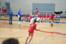 Enlarge photo 539