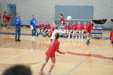 Enlarge photo 540