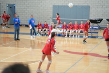 Enlarge photo 541