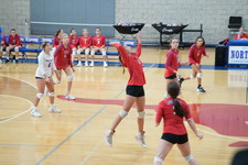 Enlarge photo 554