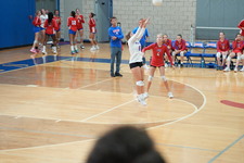 Enlarge photo 568