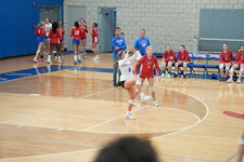 Enlarge photo 572
