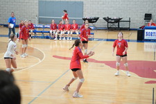 Enlarge photo 587