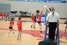 Enlarge photo 598