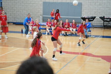 Enlarge photo 711