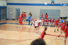 Enlarge photo 726