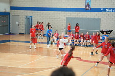 Enlarge photo 727