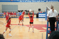 Enlarge photo 798
