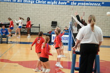 Enlarge photo 820