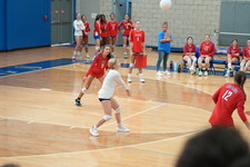 Enlarge photo 886