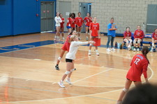 Enlarge photo 890
