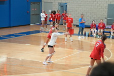 Enlarge photo 891