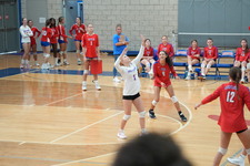 Enlarge photo 892