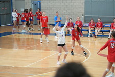 Enlarge photo 893