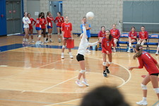Enlarge photo 897