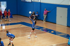 Enlarge photo 475