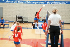 Enlarge photo 65