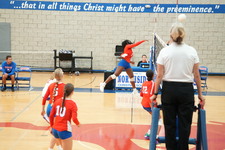 Enlarge photo 64