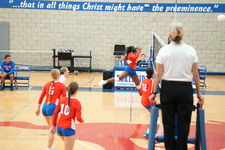 Enlarge photo 66