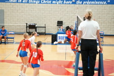 Enlarge photo 67