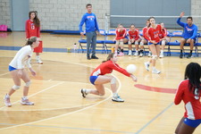 Enlarge photo 93