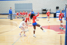 Enlarge photo 103