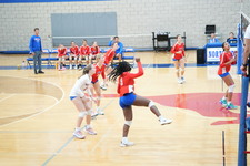 Enlarge photo 102